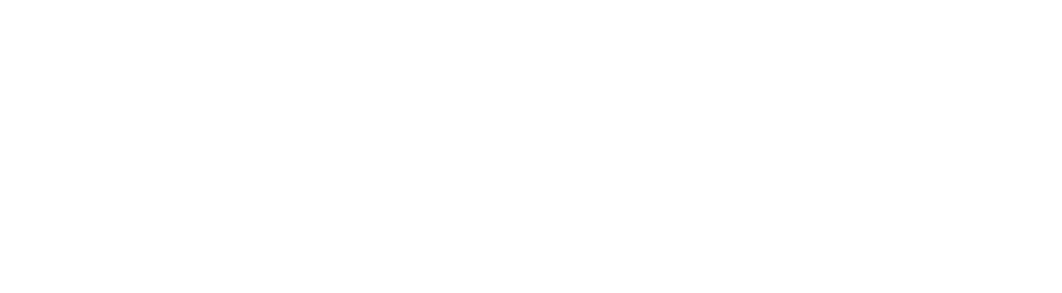 Lowa Logo